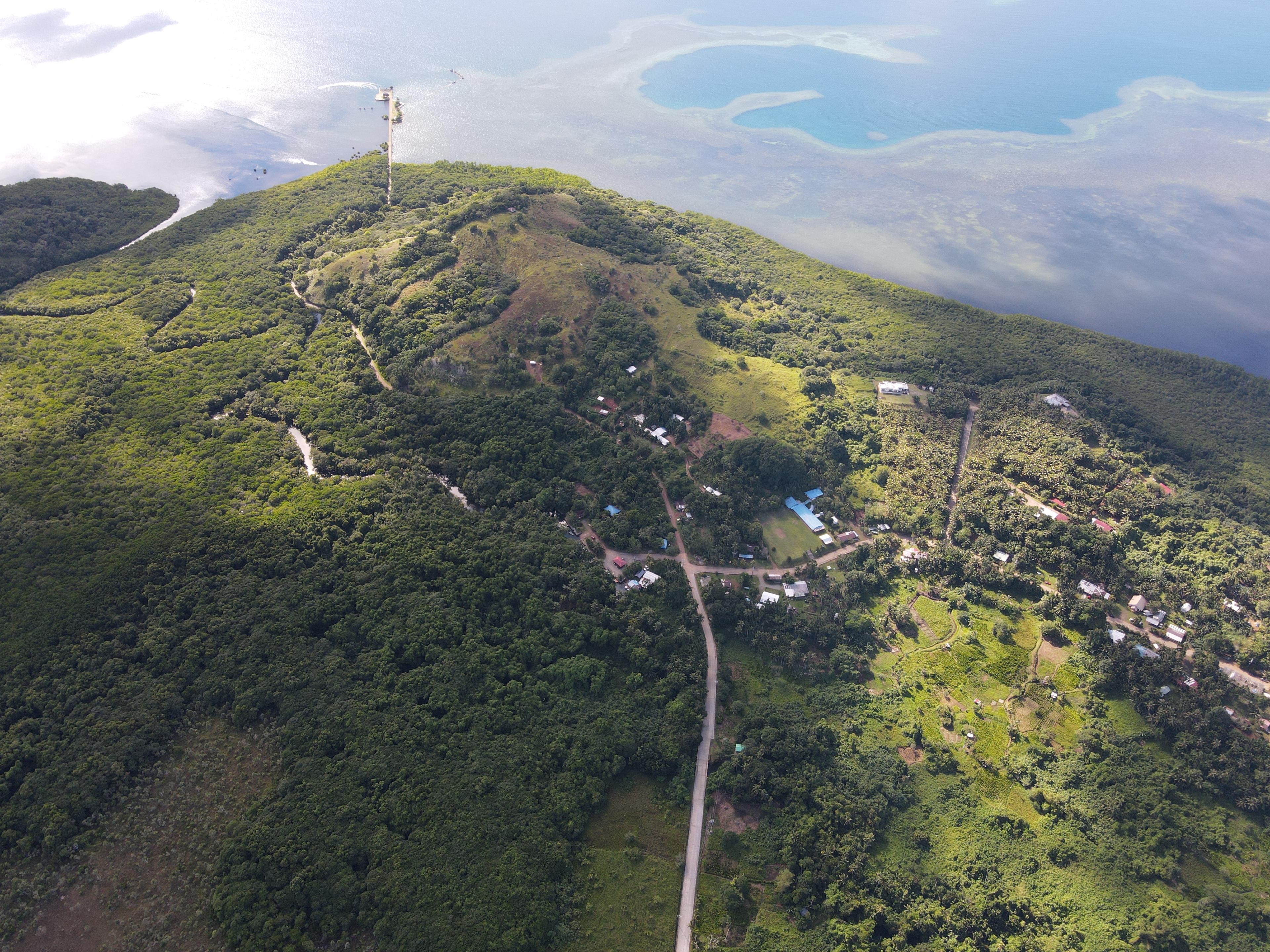 Overview