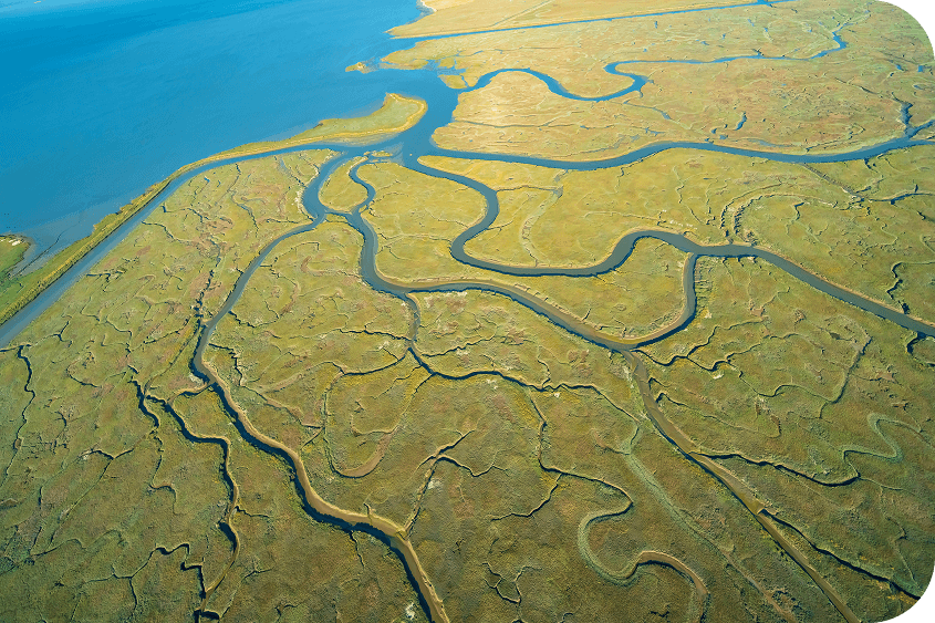 Build projects that are resilient to climate change, disasters, and other risks, and aligned with the pathways towards 2050 net-zero emissions needed to keep global temperature change of1.5 degrees Celsius within reach.