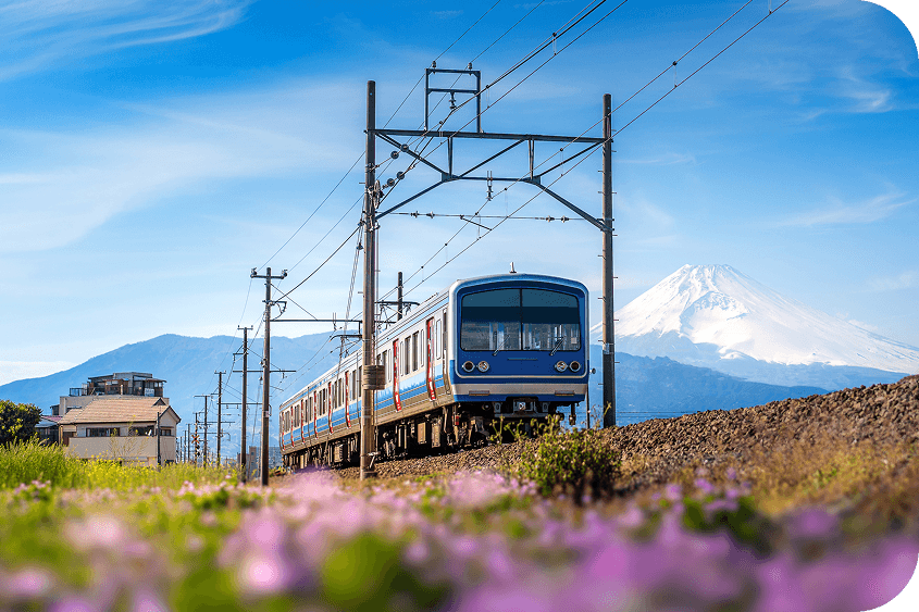 Promote the non-discriminatory use of infrastructure services.