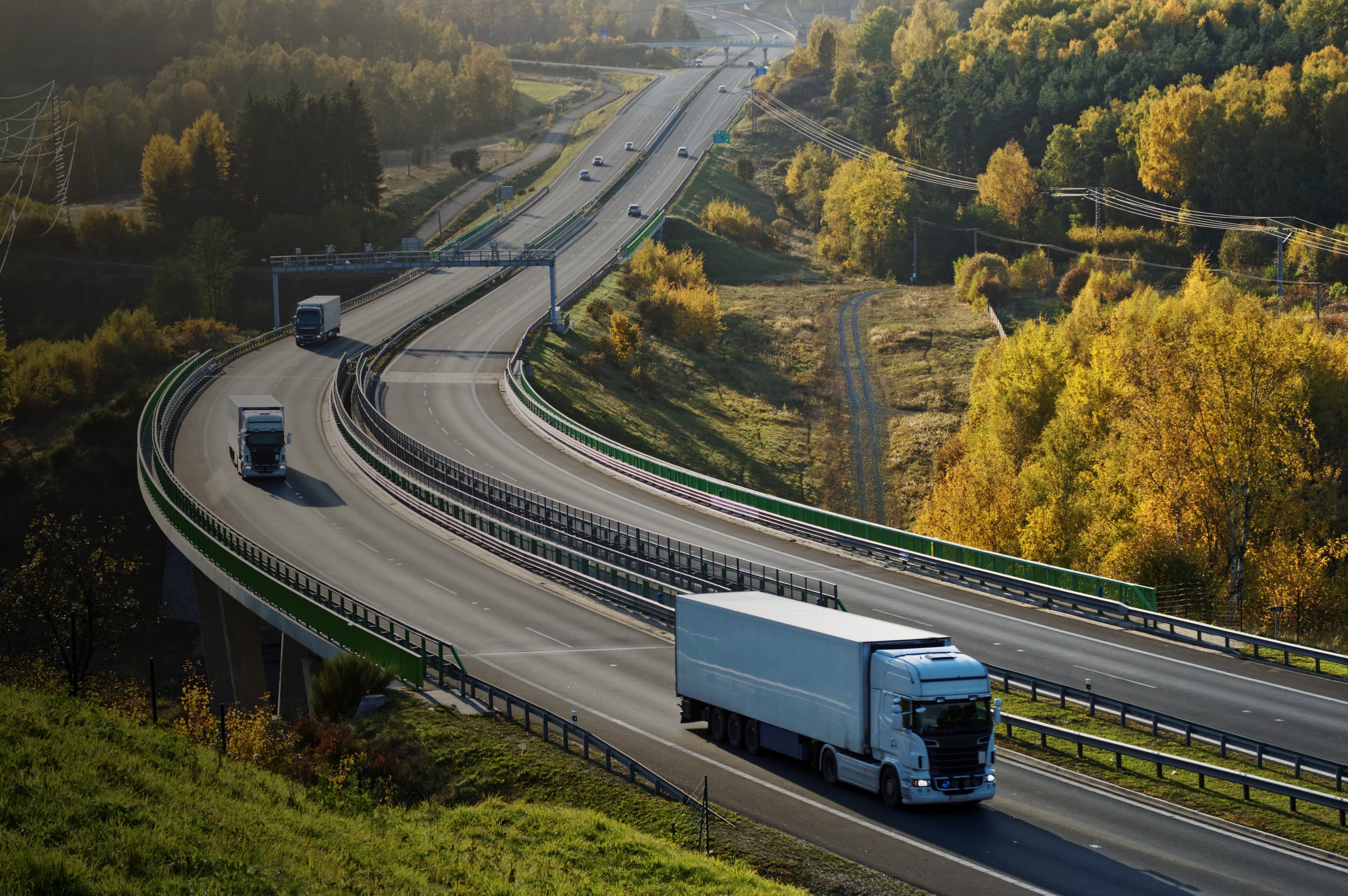 Certification Background