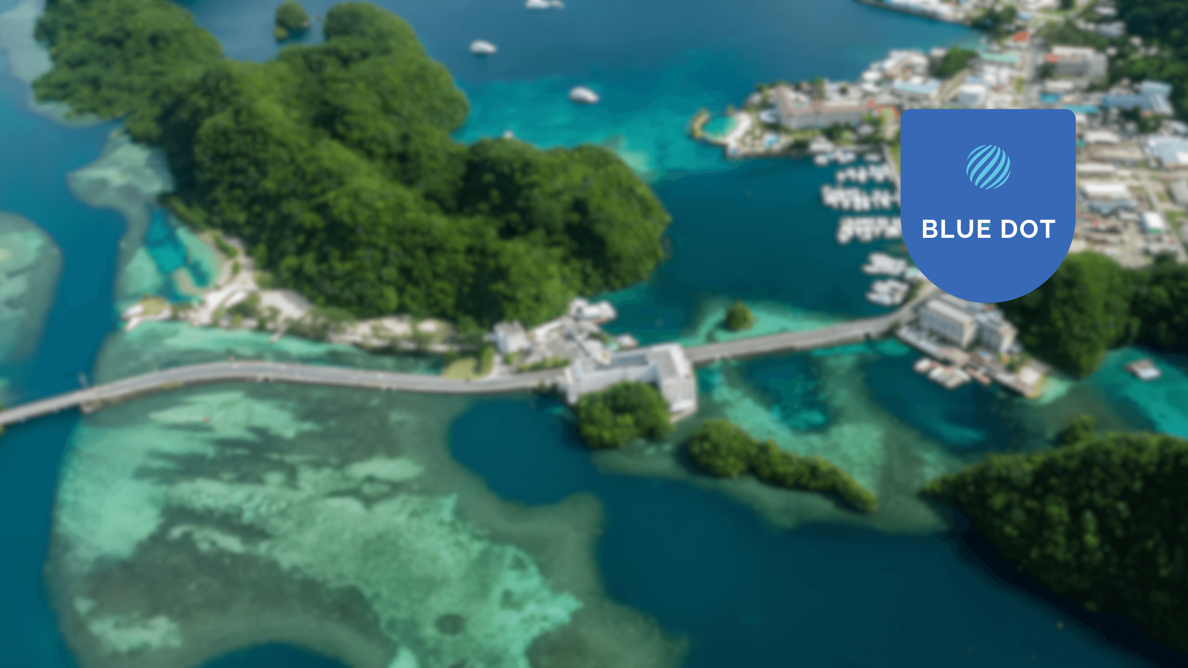 News' Background Image